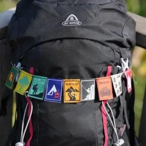 Travel Flag